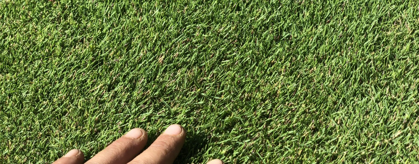 IMG 0523 1